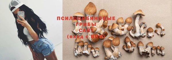 метамфетамин Белокуриха