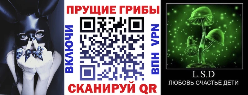где купить наркоту  Гаврилов-Ям  Псилоцибиновые грибы мицелий 